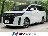 4WD 両側電動ドア 純正SDナビ 後席モニター バックカメラ