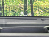 【ヘッドアップディスプレイ】現在の速度や走行情報をデジタル表示で運転席前方のガラスに投影!運転中、目線をずらさず必要な情報を確認できるのでとっても便利で安心!