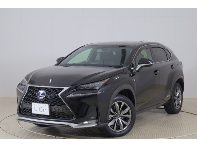 NX 300h Fスポーツ