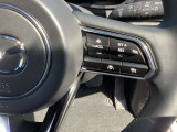 ステアリング右には運転支援系システムがまとまっており、運転中の操作の迷いを少なくしてくれます。