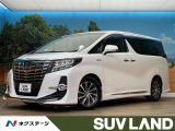 サンルーフ モデリスタエアロ フリップダウン 10インチSDナビ