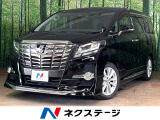 両側電動ドア 純正SDナビ バックカメラ 禁煙車 ハーフレザーシート