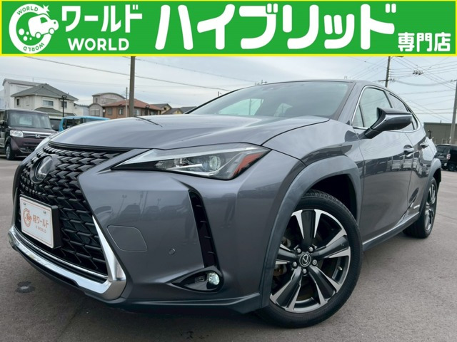 UX 250h バージョンC 