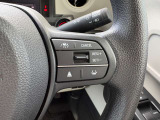 運転支援システムのスイッチになります。渋滞追従式の制御をしてくれますので、前方車両を検知して減速までサポートしてくれます