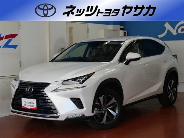 NX 300h Iパッケージ