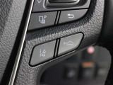 レーダークルーズコントロール作動時に車線維持に必要な運転操作の支援を行う「レーントレーシングアシスト(LTA)」を搭載しています。