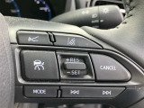 ステアリングスイッチ付き。前方から目を離すことなく操作することが可能です。