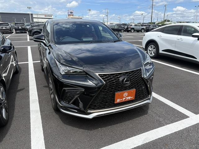 NX 300 Fスポーツ 禁煙車 温冷赤革シート