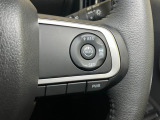 全車速追従機能付ACC(アダプティブクルーズコントロール)付