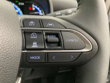 前方の車との車間を設定し、スピードを上げたり緩めたりを自動で行ってくれる追尾式の「レーダークルーズ」。上級装備の一つです!高級車にしかつかない嬉しい機能です。