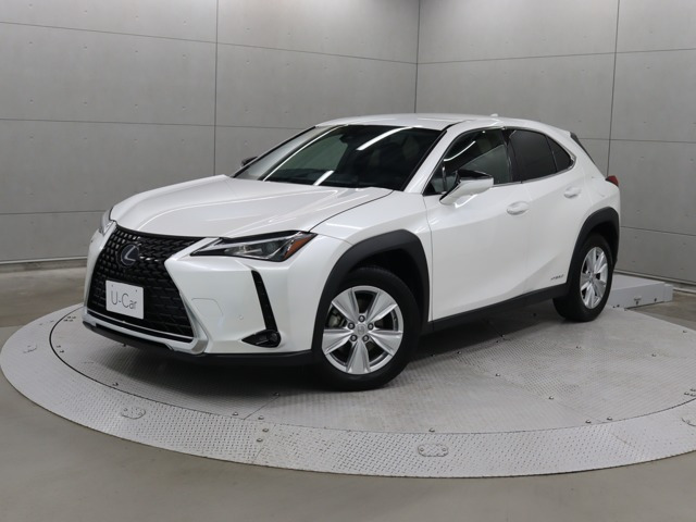 UX 250h バージョンC