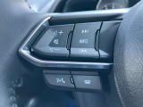 オーディオの音量などはハンドルのスイッチでわき見することなく安全に操作することができます。