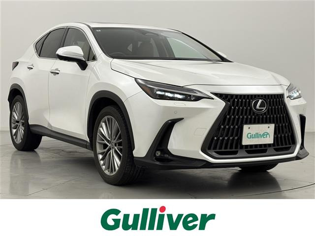 NX 250 バージョンL 本革シート サンルーフ