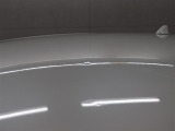 ひょうによる被害部分です。