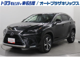 NX300h Iパッケージが入庫しました。