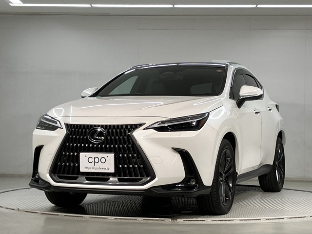 NX 250 バージョンL 4WD 