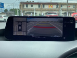 車両の前後左右に備えた計4つのカメラを活用し、車両を上方から俯瞰したようなトップビューのほか、フロントビュー、リヤビュー、左右サイドビューの映像をセンターディスプレイに表示。