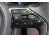 高速道路を頻繁に利用する方におすすめのレーダークルーズコントロール。前を走っている車との適切な距離を保って走行してくれます。長距離運転の疲労感も違いますよ。適度な休憩も忘れずに★