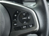 ◆アダプティブクルーズコントロール◆予め設定した車速内でクルマが自動的に加減速。前走車との適切な車間距離を維持しながら追従走行します。【LKAS】車線維持支援システムでステアリング操作を支援。