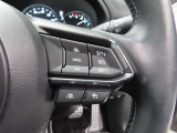 前車追従機能付きのレーダークルーズを備えています。自動で車間距離を調整してくれますので、アクセル操作の疲労軽減に繋がります。特に長距離を帰省される方にはお奨めですよ。