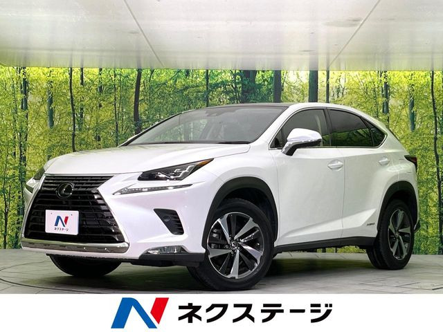 NX 300h Iパッケージ 
