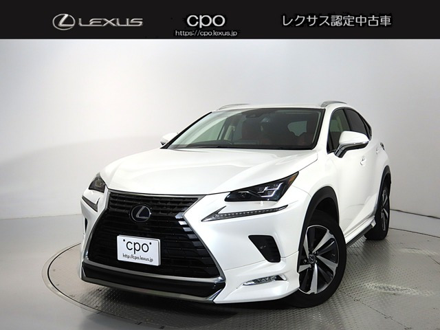 NX 300h Iパッケージ