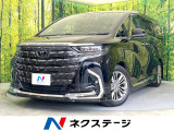 モデリスタエアロ ガラスルーフ 後席モニター 両側電動ドア