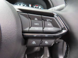 前車追従機能付きのレーダークルーズを備えています。自動で車間距離を調整してくれますので、アクセル操作の疲労軽減に繋がります。特に長距離を帰省される方にはお奨めですよ。