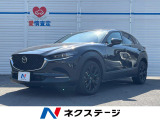 禁煙車 10インチディスプレイオーディオ 衝突軽減 全周囲カメラ ETC