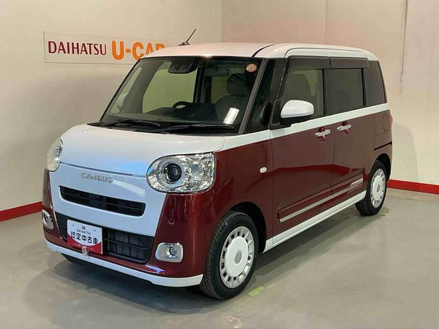 ムーヴキャンバス  ストライプス G
