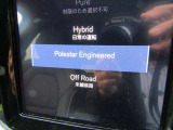 とても希少なポールスター。日本でも数台の限定車です
