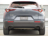 CX-30のエクステリアデザインは、明確なラインを使わず、面の動きのみで表現。アートとしての美しさと生命感を感じさせるデザインを創生しています