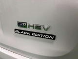 ブラックエディション専用のエンブレムとなっております。