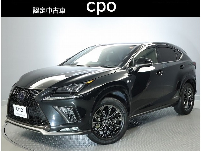NX300h スパイス&シック 4WD