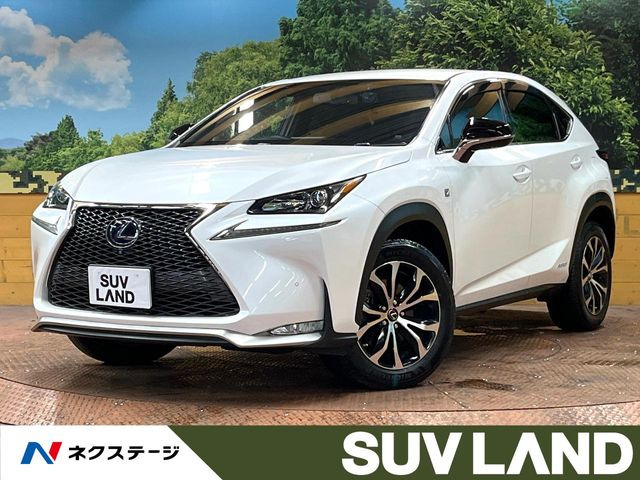 NX 300h Fスポーツ