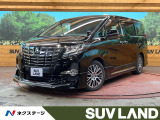 サンルーフ モデリスタ 両側電動スライド 11型BIG-X 後席モニター