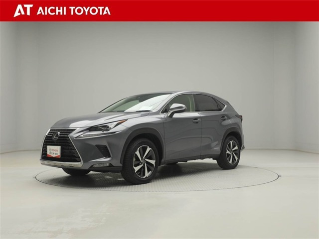NX 300h Iパッケージ 4WD