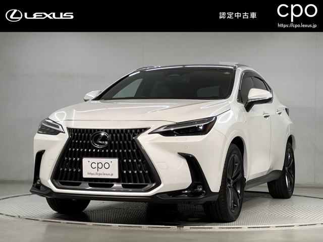 NX 250 バージョンL 4WD