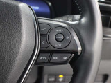 レーダークルーズコントロール作動時に車線維持に必要な運転操作の支援を行う「レーントレーシングアシスト(LTA)」を搭載しています。
