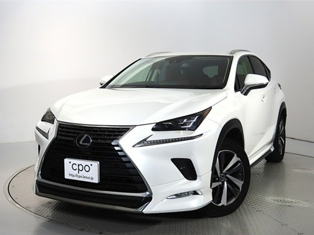 NX 300h Iパッケージ