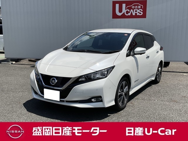 リーフ G
