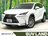 禁煙車 純正ナビ バックカメラ フルセグ レーダークルーズ ETC