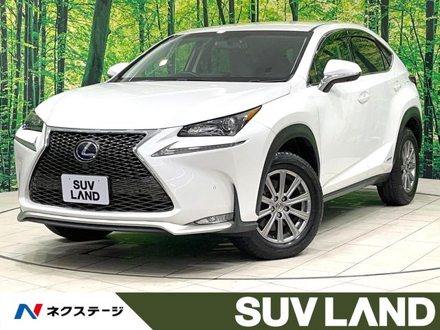 NX 300h