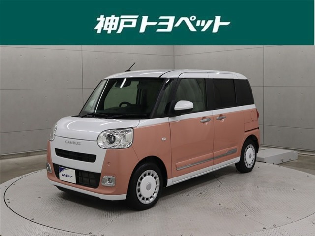 ムーヴキャンバス  ストライプス G