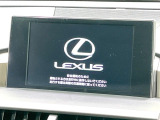 NX 300h 