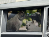 TVもご覧いただけます(^^)/