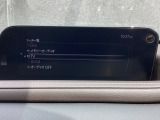 さまざまなオーディオソースが楽しめます!地デジつき!スマホとの連動も楽々です♪