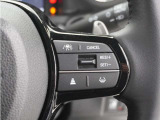 ◆アダプティブクルーズコントロール◆予め設定した車速内でクルマが自動的に加減速。前走車との適切な車間距離を維持しながら追従走行します。【LKAS】車線維持支援システムでステアリング操作を支援。