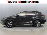 NX 300h Iパッケージ 