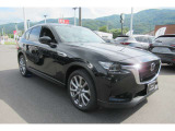 中古車クレジット(オートローン)の取り扱いもございます。詳細に関してはスタッフまで。